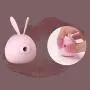 Sucking Rabbit Toys-USB Charging Silent Waterproof (Purple) Sucking Rabbit Toys-USB Charging Silent Waterproof (Purple)