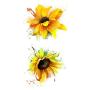 SanerLian Sunflowers Temporary Tattoo Sticker Watercolor Waterproof Women Girls Back Shoulder Arm Body Art 10.5X6cm Set of 12