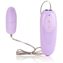 Dr. Laura Berman Intimate Basics Nyla - 8-Speed Bullet Vibrator - Pocket Adult Toys for Couples - Wired Vibe Egg Massager - Purple