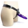 Pleasure Strap On Dildo with harness - 6.5 inches - Jelly - Color (Dark)