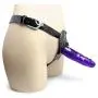 Pleasure Strap On Dildo with harness - 6.5 inches - Jelly - Color (Dark) Pleasure Strap On Dildo with harness - 6.5 inches - Jelly - Color (Dark)