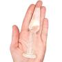 Roxy Sex Toys Glass Butt Plug Anal Plug for Men and Women