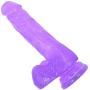 Realistic Jelly Dildo - Suction Cup Base for Hands Free Masturbation - Adult Sex Toy