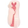 USA Seller: Toysheart Fairy USA Seller: Toysheart Fairy