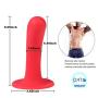 6.69 inch Simulation D-i-CKS Silicone Massage with Strong Suction Cup - Personal Relax Soft toy100% Waterproof PNMGJ