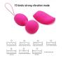 Remote Control Vibrating Egg - Adorime 10 Speed Powerful USB Rechargeable Waterproof Vibe Vibrator Massager for G-spot and Clit Stimulation for Women