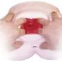 NPG Dual-layer Extreme Pleasure Hip Shinsei (Nippori-ban Shinsei Gokujyou-namagoshi)