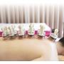 Vacuum Cupping Set Rotating Cupping Magnet Massage Hand-Type Magnetic Therapy Cupping Device