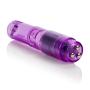 Dr. Laura Berman Intimate Basics Athena - Waterproof Mini Massager - Adult Toys Vibrator - Pocket Massager - Purple