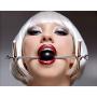 Master Series Adjustable Stainless Steel Ball Gag Head Harness
