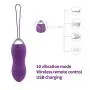 Kegel Balls for Tightening -Doctor Recommended Ben Wa Balls for Women Bladder Control & Pelvic Floor Kegel Exercises for Beginners - Kegel Weights, Purple,ALKAID …
