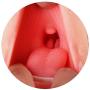 Jjek Man Cup Toy Tshirt Realistic Põckët-Püssý Pû`ssycat for Men Games Soft Model,P?`cket Pu`ssyfõõt （Flesh） Tool Handle Device