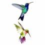 WYUEN 12 PCS Hummingbirds Temporary Tattoo Sticker for Women Men Fashion Body Art Adults Waterproof Hand Fake Tatoo 9.8X6cm (FW12-24)