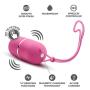Powerful 10 Vibrating Functions Wireless Satin Smooth Egg - Remote Control Bullet Vibrator - Sex Toy for Women - Sex Toy for Couples (Raspberry)