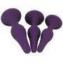 Eastern Delights Luxury Silicone Anal Trainer Butt Plug, Excellent Anal Sex Toy for Beginner, Purple Kit Eastern Delights Luxury Silicone Anal Trainer Butt Plug, Excellent Anal Sex Toy for Beginner, Purple Kit