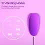 Sexy Slave Wired Remote Control 12-Frequency Bullet Vibrators - Waterproof Vibrating Love Egg (Pack of 2, Black and Purple)