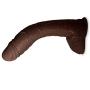 LeLuv Dildo Big Bent 10 Inch Realistic Suction Cup Thick Veiny Curved Chocolate
