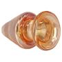 Anal Trainer Butt Plugs Big NOT for Beginners, Eastern Delights Elite Glass Anal Sex Toy Butt Plug (Gold)