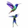 WYUEN 12 PCS Hummingbirds Temporary Tattoo Sticker for Women Men Fashion Body Art Adults Waterproof Hand Fake Tatoo 9.8X6cm (FW12-24)