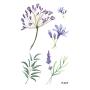 WYUEN 12 PCS/lot Flower Temporary Tattoo Sticker for Women Men Fake Tatoo Body Art Adult Waterproof Hand Stickers 9.8X6cm (FW12-04)