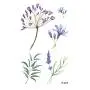 WYUEN 12 PCS/lot Flower Temporary Tattoo Sticker for Women Men Fake Tatoo Body Art Adult Waterproof Hand Stickers 9.8X6cm (FW12-04) WYUEN 12 PCS/lot Flower Temporary Tattoo Sticker for Women Men Fake Tatoo Body Art Adult Waterproof Hand Stickers 9.8X6cm (FW12-04)