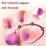 SYOSIN SHUANGMI 2 in 1 Balls Kit Vibrators - Massager Ben Wa Balls for Women & Silicone Massager USB Rechargeable & Pelvic Floor Exercises(Purple) SYOSIN SHUANGMI 2 in 1 Balls Kit Vibrators - Massager Ben Wa Balls for Women & Silicone Massager USB Rechargeable & Pelvic Floor Exercises(Purple)