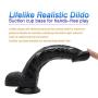 ZYYSQ Realistic Soft Hands Huge Massage with Strong Suction Cup for Women Mén ZYYSQ (Color : Black)
