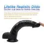 ZYYSQ Realistic Soft Hands Huge Massage with Strong Suction Cup for Women Mén ZYYSQ (Color : Black) ZYYSQ Realistic Soft Hands Huge Massage with Strong Suction Cup for Women Mén ZYYSQ (Color : Black)
