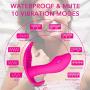 Wearable G Spot Vibrator, Clitoris Anal Vagina Stimulation Dildo Vibrators with 10 Vibrations Remote Control, Invisible Fantasy Waterproof Vibrating Patterns，Rechargeable Sex Toys for Women