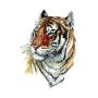 WYUEN 12 PCS/lot Wolf Temporary Tattoo Sticker for Women Men Fashion Body Art Adults Waterproof Hand Fake Tatoo 9.8X6cm FW12-01 (Tiger1)