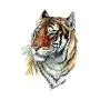 WYUEN 12 PCS/lot Wolf Temporary Tattoo Sticker for Women Men Fashion Body Art Adults Waterproof Hand Fake Tatoo 9.8X6cm FW12-01 (Tiger1) WYUEN 12 PCS/lot Wolf Temporary Tattoo Sticker for Women Men Fashion Body Art Adults Waterproof Hand Fake Tatoo 9.8X6cm FW12-01 (Tiger1)