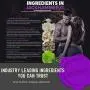Testosterone Booster for Men by Jackhammer XL - 60 Capsules Testosterone Booster for Men by Jackhammer XL - 60 Capsules
