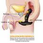 Electric Massager Portable Stimulator - Stimulatio for Woman - Men - Personal Toy - Great Idea for Gift