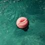 Fleshlight Original Pink Lady | Classic Smooth Texture | Male Sex Toy