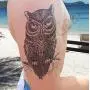 Temporary Tattoos for Men Guys & Teens Fake Tattoo Stickers (8 Large Sheets) Tattoos for Boys Biker Tattoos Rocker Transfers for Arms Shoulders Chest & Back - Body Art Tattoo Sticker Waterproof Black Temporary Tattoos for Men Guys & Teens Fake Tattoo Stickers (8 Large Sheets) Tattoos for Boys Biker Tattoos Rocker Transfers for Arms Shoulders Chest & Back - Body Art Tattoo Sticker Waterproof Black