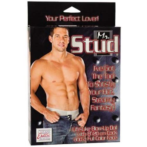 California Exotics Mr. Stud Love Doll