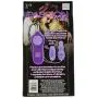California Exotics Passion Bullets Bullet and Multi Probe, Purple California Exotics Passion Bullets Bullet and Multi Probe, Purple