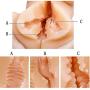 Proxoxo Male Masturbator - Real Silicone 3D Sex Doll with Breasts Butt Vagina Anal Tight Pussy Ass Adult Toy for Man Masturbation