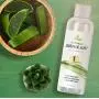 Personal Lubricant for Women and Men - Water Based Lube with Aloe & Carrageenan – Natural PH Balance - Formulated for Sensitive Skin & Sex - Long Lasting Formula - Paraben Free - Silicone Free Personal Lubricant for Women and Men - Water Based Lube with Aloe & Carrageenan – Natural PH Balance - Formulated for Sensitive Skin & Sex - Long Lasting Formula - Paraben Free - Silicone Free