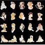 Honch Retro Pin-up Girls Stickers Pack 50 Pcs Suitcase Stickers Vinyl Sexy Lady Decals for Laptop Bumper Helmet Ipad Cars Luggage Water Bottle