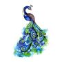 WYUEN 12 PCS Hummingbirds Temporary Tattoo Sticker for Women Men Fashion Body Art Adults Waterproof Hand Fake Tatoo 9.8X6cm (FW12-13)