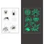 Halloween Temporary Tattoo Stickers Removable Fake Spider Glow in The Dark Stickers Party Decorations for Adult and Kids Gift (10 sheets) Halloween Temporary Tattoo Stickers Removable Fake Spider Glow in The Dark Stickers Party Decorations for Adult and Kids Gift (10 sheets)