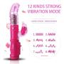 5-Mode Rotation + 12-Mode Dolphin Vibrators Dual Clito-RIS Stimulator G spot Vibrator Toys for Woman