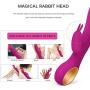 L’aise Vie V2 Rabbit Vibrator Personal G-spot Vibe Electric USB Rechargeable Powerful Massager with 42 Different Functions for Females Waterproof Adult Sex Toys (Hotpink)