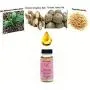 Arunkriss Herbs Vagi Tightening Remove Odor Anti Itch Enhancement Love Women