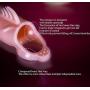 Male Pleasure Sleeve Girth Enhancer Ring Extension Women Stimulation-x01