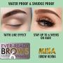 MINA ibrow Henna Black Regular Pack for Hair Coloring (For upto 30 Applications)