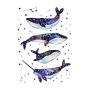 WYUEN 12 PCS/lot Whale Shark Temporary Tattoo Sticker for Women Men Fake Tatoo Body Art Adult Waterproof Stickers 9.8X6cm W12-06