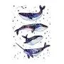 WYUEN 12 PCS/lot Whale Shark Temporary Tattoo Sticker for Women Men Fake Tatoo Body Art Adult Waterproof Stickers 9.8X6cm W12-06