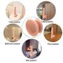 Pintimi 8.97 inch Waterproof Realistic Sex Toys Soft Silicone Penis Dildo with Suction Cup